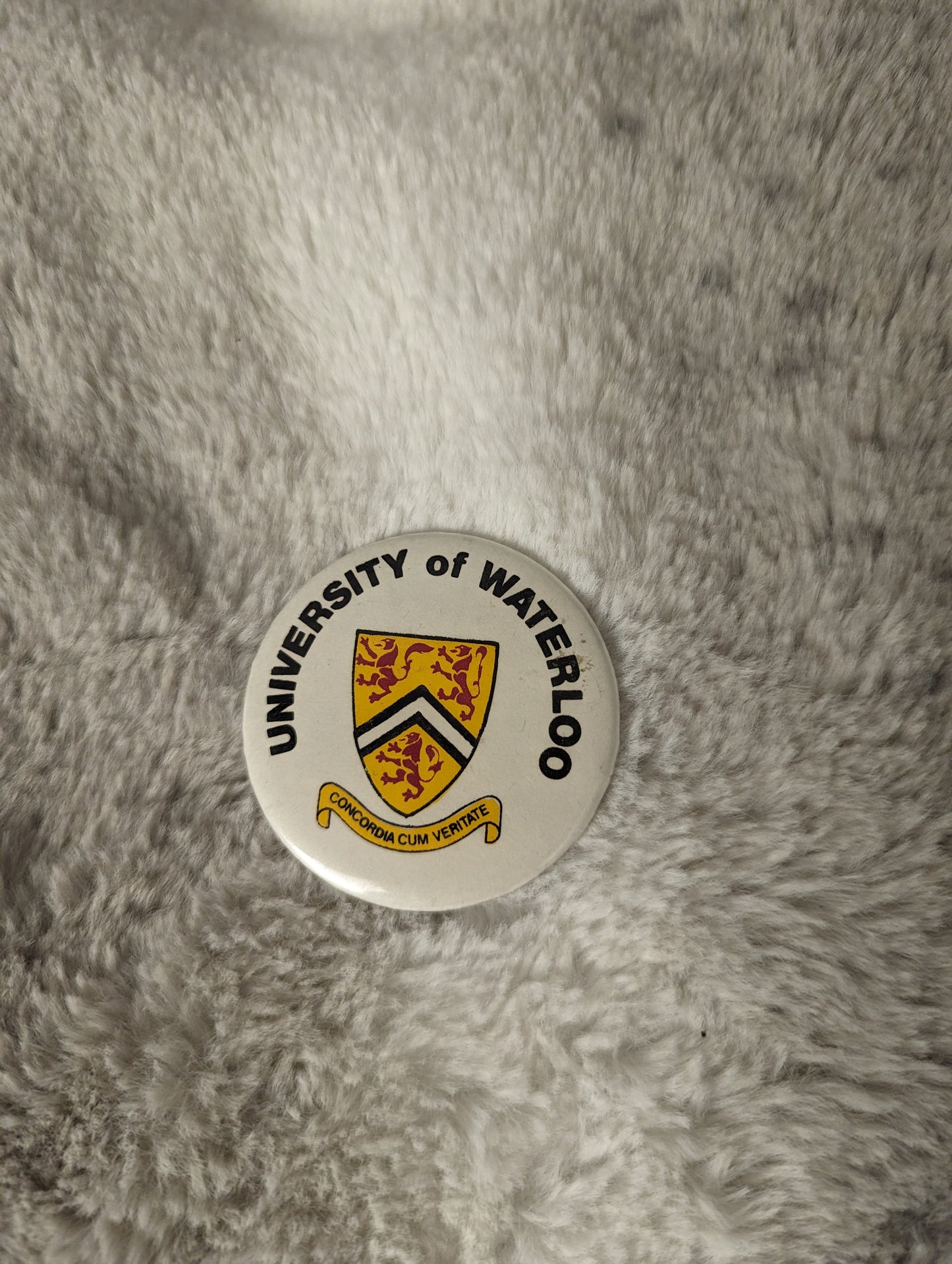 University of Waterloo Vintage button