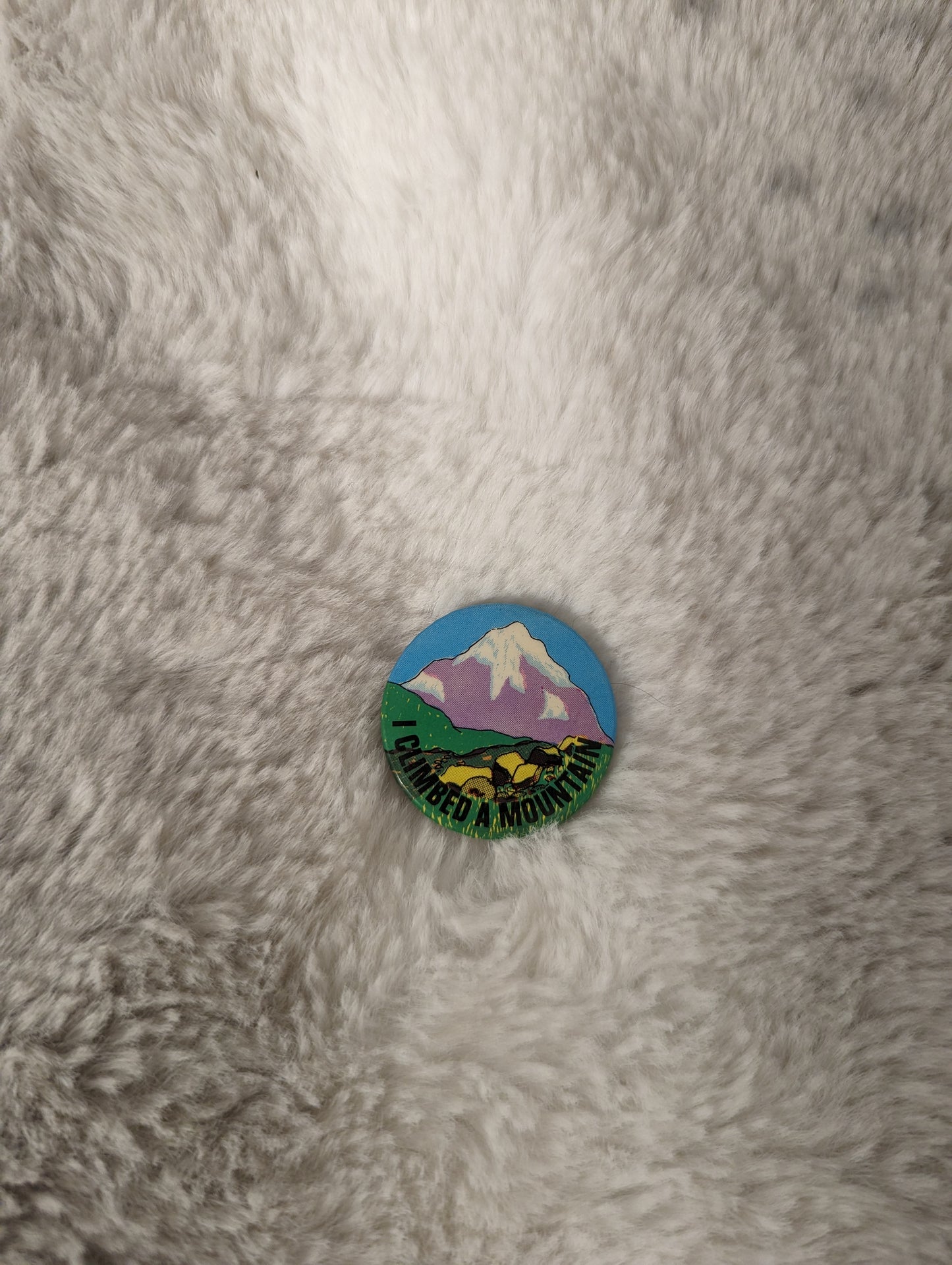I climbed a mountain Vintage button